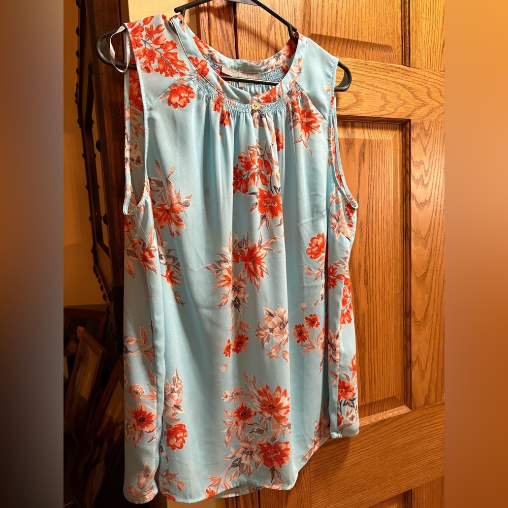 Danielrainn beautiful blouse. 1x sleeveless. Nice flare at the bottom.